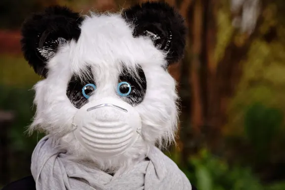 Rich Prize Casino Support